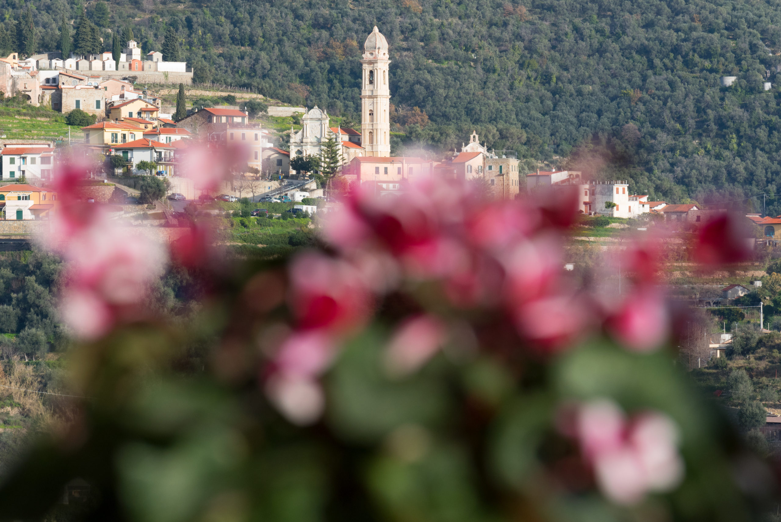 vista_mare_agriturismo_sanremo_castellaro_2